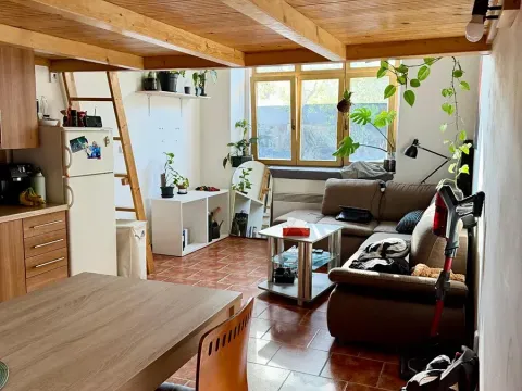 Pronájem bytu 1+kk, Praha - Košíře, Vrchlického, 25 m2