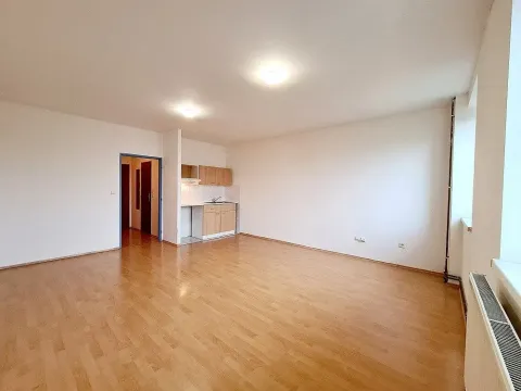 Pronájem bytu 1+kk, Brno, Svitavské nábřeží, 34 m2