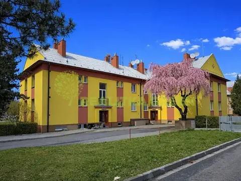 Prodej bytu 3+1, Bystřice pod Hostýnem, Bělidla, 79 m2