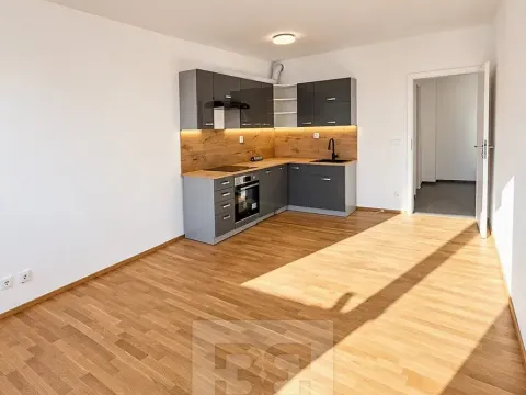 Pronájem bytu 2+kk, Kladno, Lesík, 52 m2