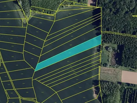 Prodej podílu pole, Přísnotice, 4511 m2