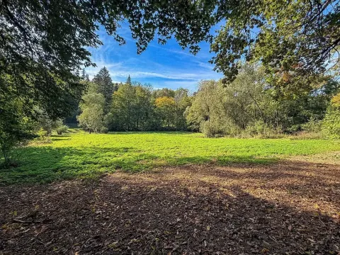 Prodej pozemku pro bydlení, Řepníky, 19850 m2
