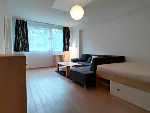 Pronájem bytu 1+1, Mladá Boleslav, U stadionu, 42 m2