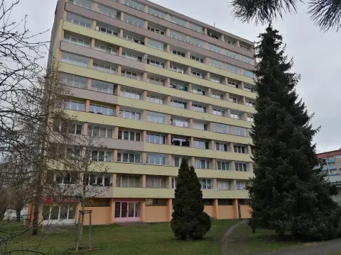 Prodej bytu 1+1, Mladá Boleslav - Mladá Boleslav III, Jičínská, 37 m2