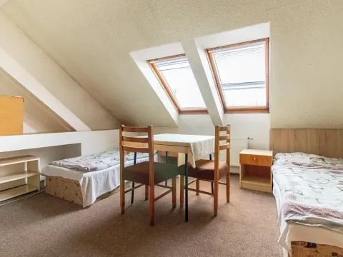 Pronájem bytu 1+kk, Mladá Boleslav, Dukelská, 25 m2