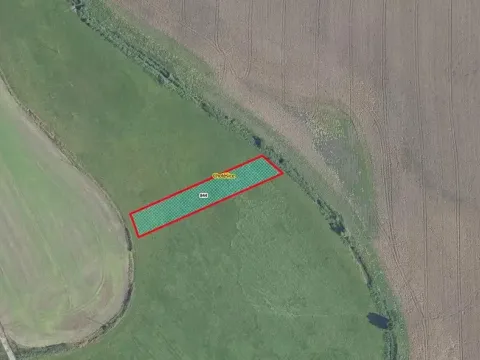Prodej louky, Chotěšice, 1816 m2