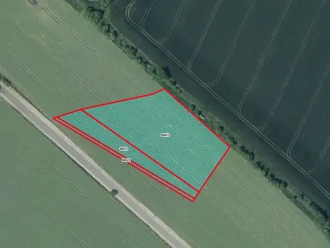 Prodej pole, Podsedice, 8290 m2