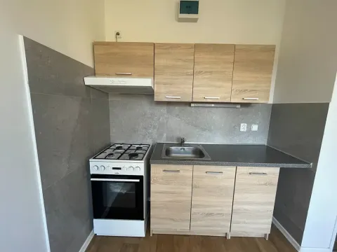 Pronájem bytu 1+1, Děčín, U Tvrze, 37 m2