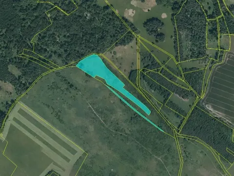 Dražba pozemku, Černošín, 17271 m2
