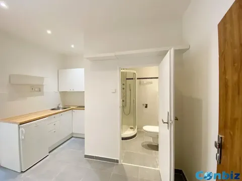 Prodej bytu 1+1, Praha - Karlín, Peckova, 29 m2