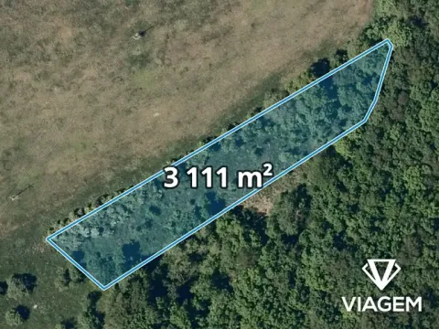 Prodej pole, Šarovy, 3111 m2