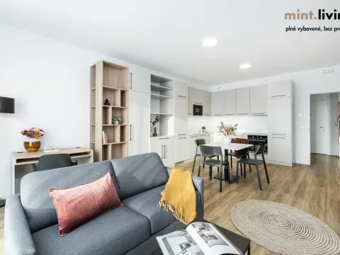 Pronájem bytu 4+kk, Praha - Vysočany, Odkolkova, 155 m2