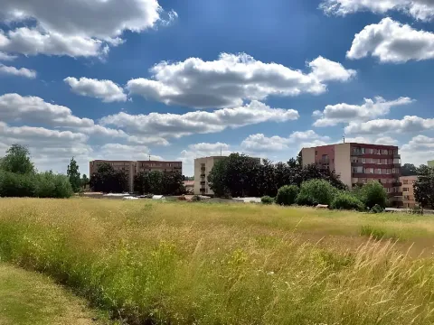 Dražba louky, Světlá nad Sázavou, 8449 m2