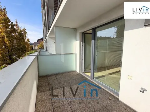 Pronájem bytu 1+kk, Olomouc, Rokycanova, 43 m2