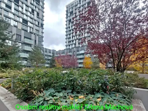 Pronájem bytu 1+kk, Praha - Žižkov, Olšanská, 33 m2