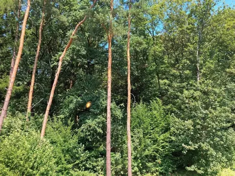 Prodej bytu 3+kk, Ostrava, Binarova, 89 m2